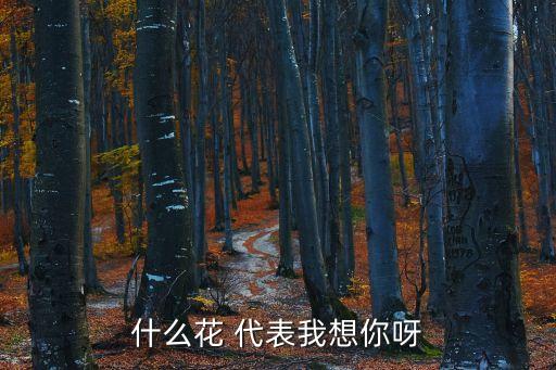 什么花代表思念,第二集:深思念紫紫:想你，惆悵的愛滿天飛