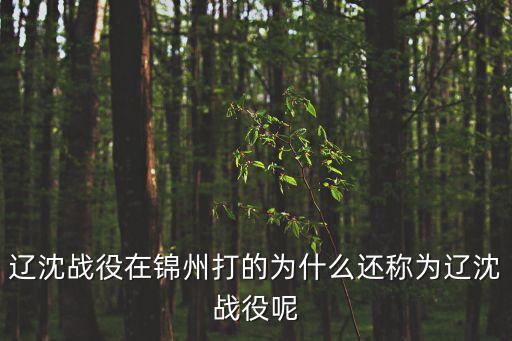 遼沈戰役時間，遼沈戰役是在什么地區