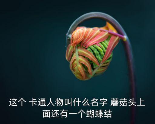 這個 卡通人物叫什么名字 蘑菇頭上面還有一個蝴蝶結(jié)