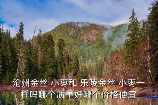 滄州金絲 小棗和 樂陵金絲 小棗一樣嗎哪個(gè)質(zhì)量好哪個(gè)價(jià)格便宜