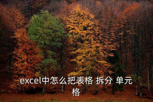 怎么拆分單元格,拆分單元grid需要注意什么?