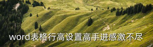 word表格行高設置高手進感激不盡