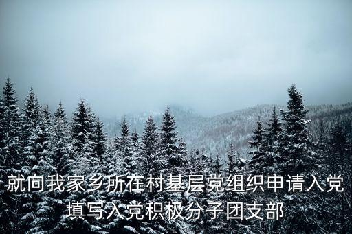 就向我家鄉所在村基層黨組織申請入黨填寫入黨積極分子團支部