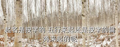起名是按字的 五行來起還是按字的偏旁來起的呢