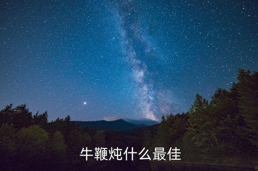 極樂牛鞭,馬國老母雞燉牛鞭放點枸杞營養又好吃