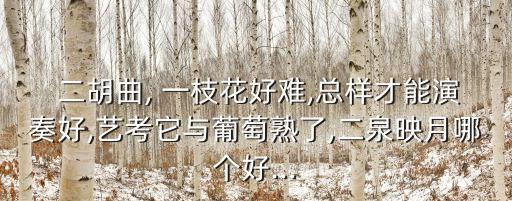 二胡獨奏一枝花,《紅梅二胡協奏曲專輯》獲第四屆中國金唱片獎
