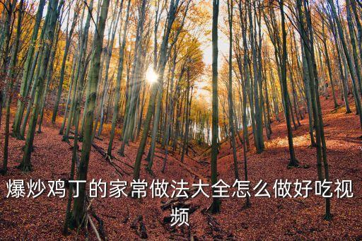 爆炒雞丁，爆炒雞丁怎么做好吃爆炒雞丁