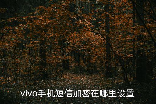 vivo手機短信加密在哪里設(shè)置