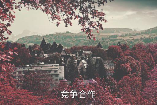 競爭合作