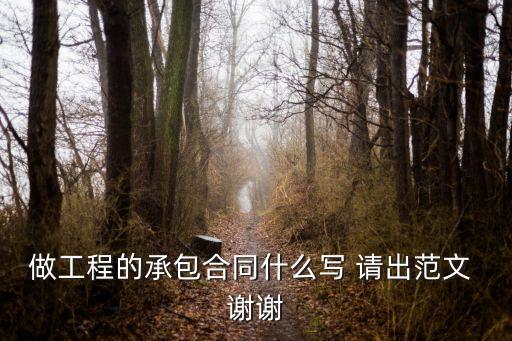做工程的承包合同什么寫 請出范文 謝謝