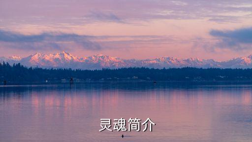  靈魂簡介