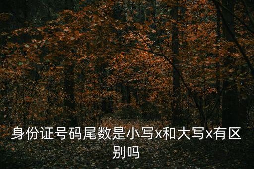 身份證號(hào)碼尾數(shù)是小寫(xiě)x和大寫(xiě)x有區(qū)別嗎