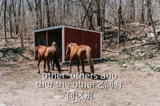 other  others another the other之間有何區(qū)別