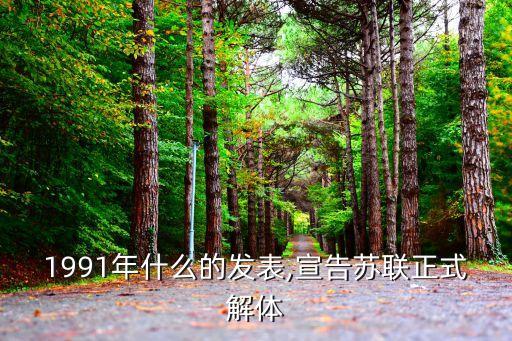 1991年什么的發表,宣告蘇聯正式解體