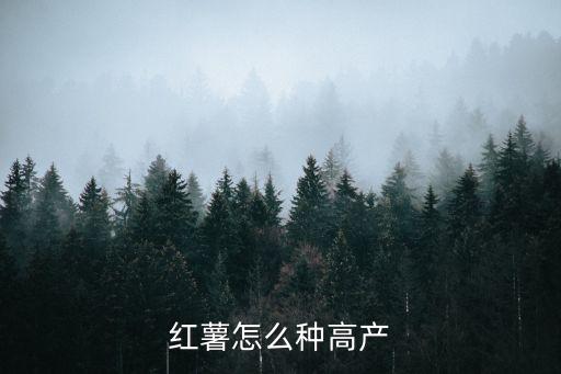 地瓜怎么種，怎么種地瓜