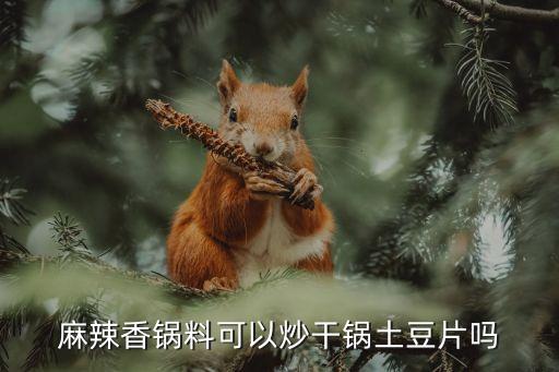 香辣干鍋土豆片，麻辣香鍋料可以炒干鍋土豆片嗎