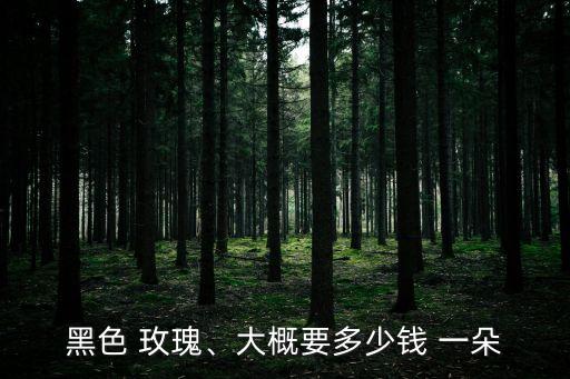 黑色 玫瑰、大概要多少錢 一朵