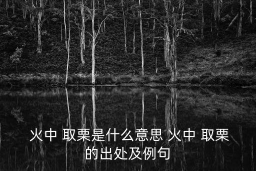  火中 取栗是什么意思 火中 取栗的出處及例句