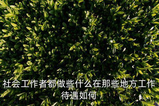 社會(huì)工作者都做些什么在那些地方工作待遇如何