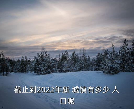 截止到2022年新 城鎮(zhèn)有多少 人口呢