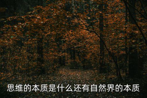 思維的本質是什么還有自然界的本質