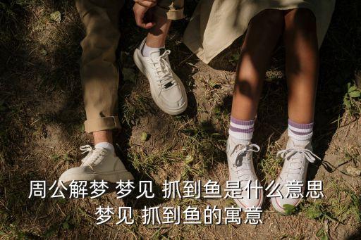 夢見抓到魚,你所夢見的事物和人