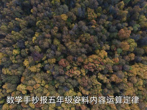 數(shù)學(xué)手抄報(bào)五年級姿料內(nèi)容運(yùn)算定律