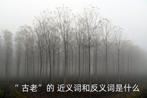 古老的近義詞,古老de意大利..3.2