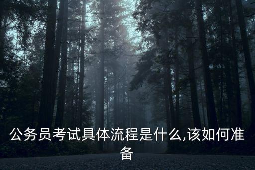 公務員考試具體流程是什么,該如何準備