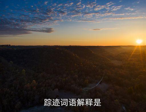 蹤跡詞語解釋是
