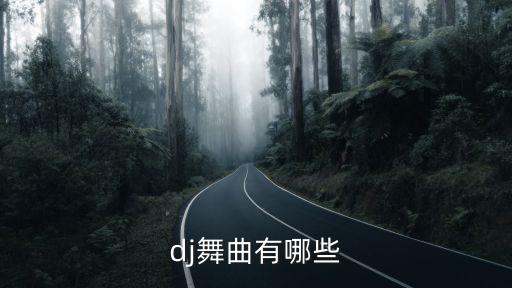 dj舞曲有哪些