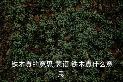  鐵木真的意思,蒙語 鐵木真什么意思