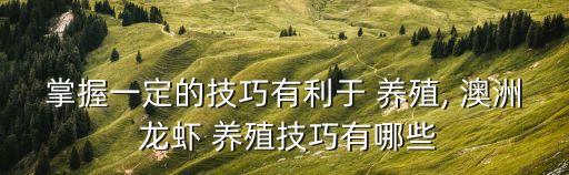 澳洲龍蝦養殖,避免小龍蝦瘟疫發生水溫調低可預防冠病