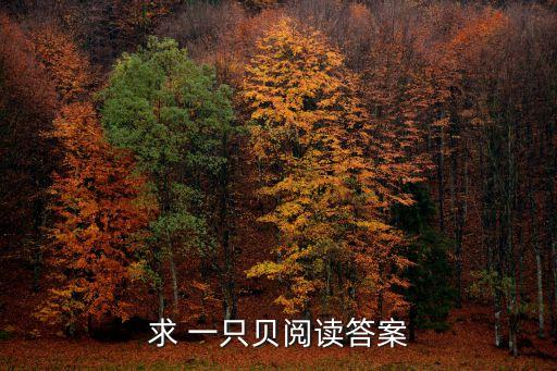 求 一只貝閱讀答案