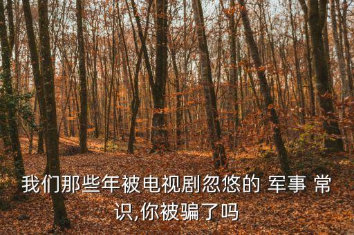 軍事常識,近距格斗導(dǎo)彈被指是偽造文件?