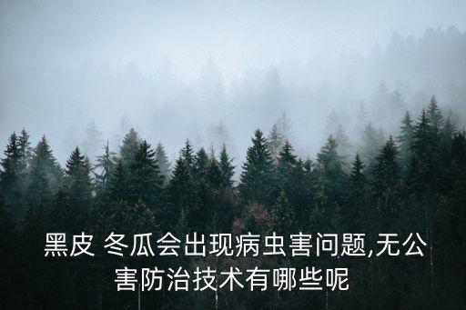 黑皮冬瓜,最推薦是黑皮冬瓜營養豐富口感最好