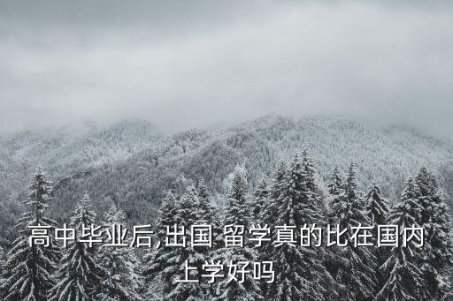 高中畢業后,出國 留學真的比在國內上學好嗎