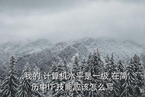 ...我的 計算機水平是一級,在簡歷中IT 技能應該怎么寫