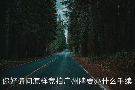 你好請(qǐng)問怎樣競(jìng)拍廣州牌要辦什么手續(xù)