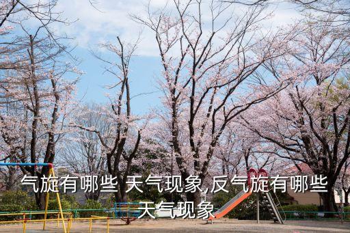 天氣現象有哪些,反氣旋對應天氣晴天或干熱或寒冷