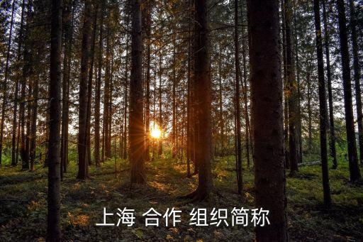  上海 合作 組織簡稱
