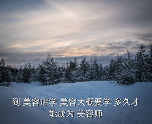 到 美容店學 美容大概要學 多久才能成為 美容師