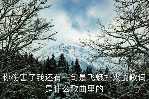 飛蛾撲火歌曲，飛蛾撲火的歌曲MV