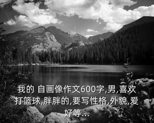 兒童自畫像男孩,自畫像作文400字
