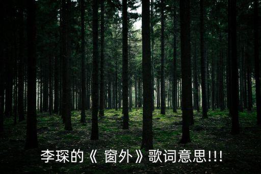  李琛的《 窗外》歌詞意思!!!