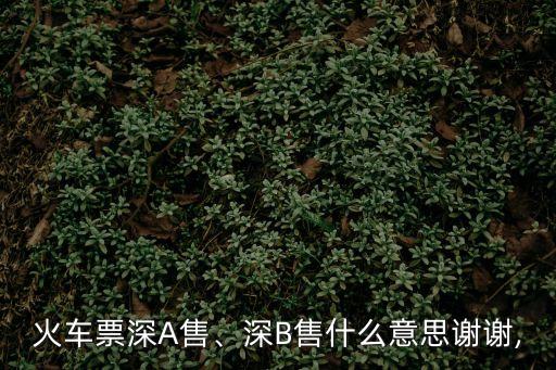 深b,深圳火車站出票不能退票