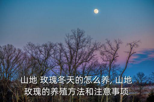 山地玫瑰怎么養(yǎng),山地玫瑰適合盆栽但不宜過(guò)度干燥和炎熱