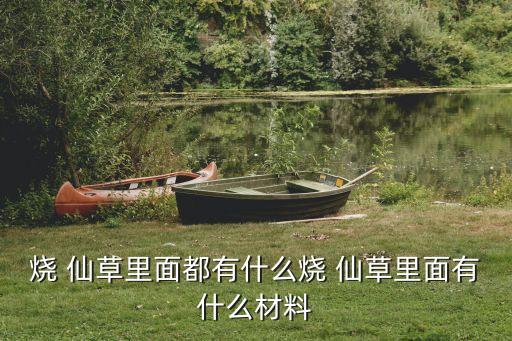 燒 仙草里面都有什么燒 仙草里面有什么材料
