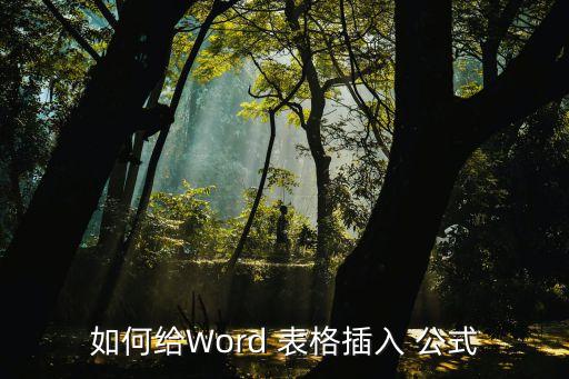 如何給Word 表格插入 公式
