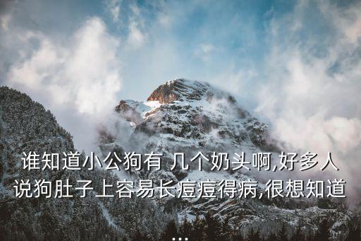 誰知道小公狗有 幾個奶頭啊,好多人說狗肚子上容易長痘痘得病,很想知道...